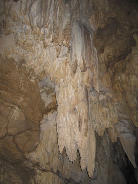 Baratang Island - Stalactite in the limestone cave